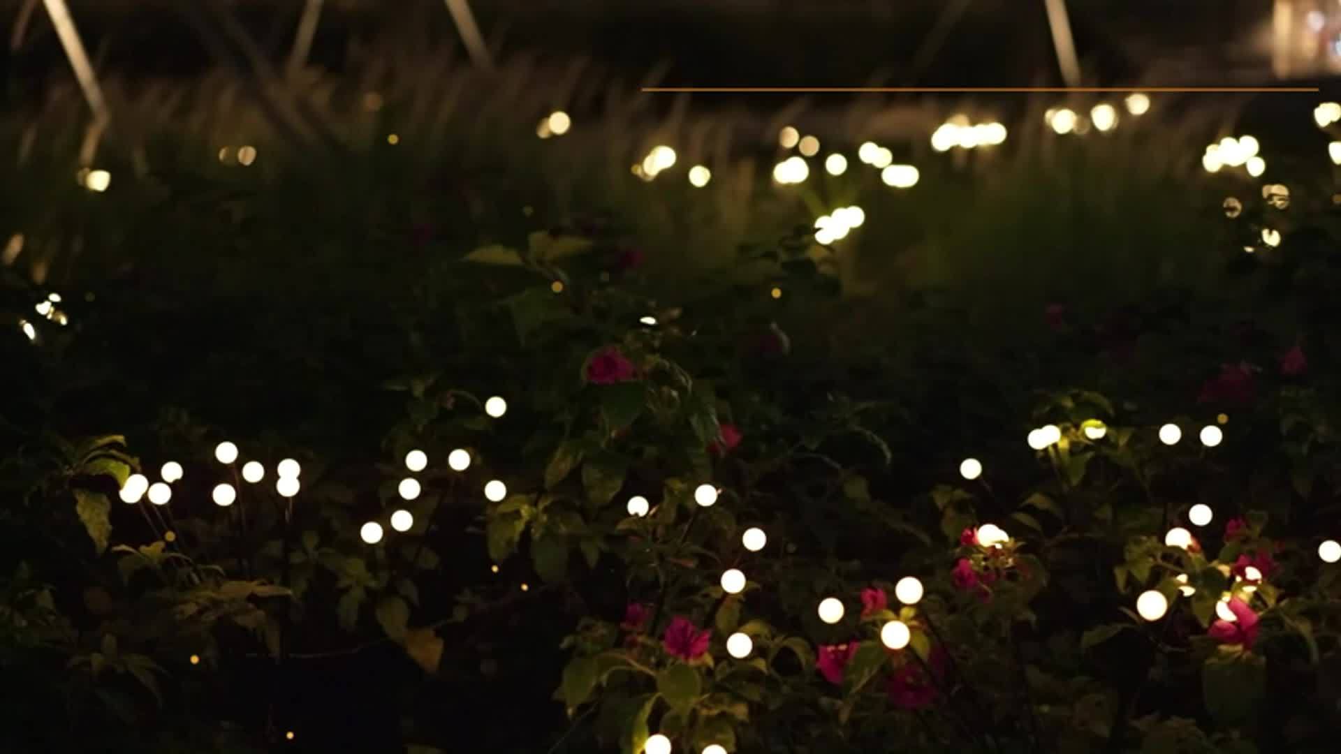 6-Pack 48 LED Solar Garden Lights, Solar Swaying Light