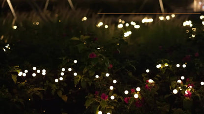 6-Pack 48 LED Solar Garden Lights, Solar Swaying Light