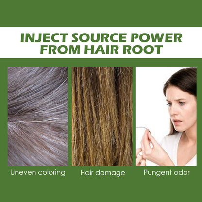 Plant Bubble Hair Natural Black Hair Dark Hair Hair Care Easy Color Lasting Mild Not Irritating