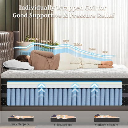 Queen Mattress Plush, 12 Inch Hybrid Mattresses with Extra Lumbar &amp; Shoulder Support, Motion-Isolation Bed in a Box for Pain